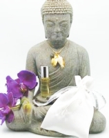 Sharon Bolton Dream fragrance