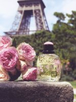 Yves Saint Laurent Paris Jardins Romantiques perfume
