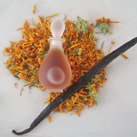 Ayala Moriel Immortelle l'Amour perfume