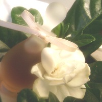 Ayala Moriel Gigi fragrance