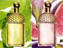Guerlain Figue Iris & Laurier Reglisse