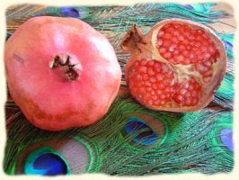 Pomegranate