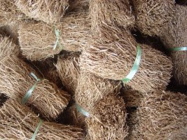 Vetiver Root Bundles