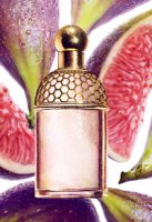 Guerlain Aqua Allegoria Figue Iris fragrance