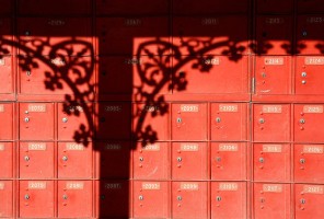 Distinguished Shadow