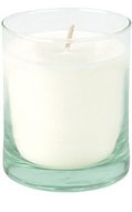 Aveda Shampure fragrance candle