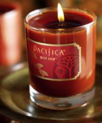 Pacifica Nile Lily candle