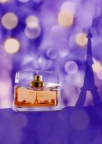 Nina Ricci Love in Paris fragrance