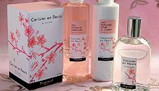 Fragonard Cerisier en Fleurs fragrance line