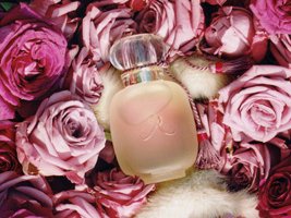 Les Parfums de Rosine Une Folie de Rose