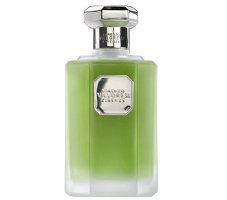 Lorenzo Villoresi Yerbamate