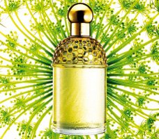 Guerlain Angelique Lilas