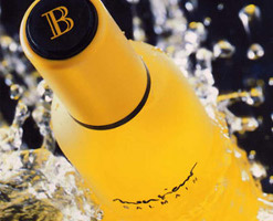 Balmain Monsieur Balmain cologne for men