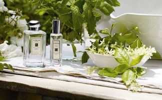 Jo Malone White Jasmine & Mint perfume