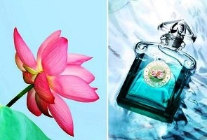 Guerlain Mitsouko Fleur de Lotus perfume