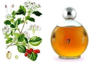 Granato perfume by Omnia Gioielli