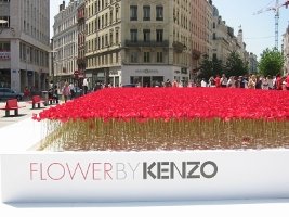 Kenzo poppies in Lyon, 1