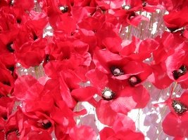 Kenzo poppies in Lyon, 3