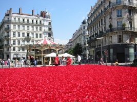 Kenzo poppies in Lyon, 2