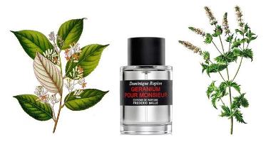 Styrax, Geranium Pour Monsieur, Mint
