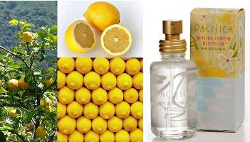 lemons/Pacifica Malibu Lemon Blossom