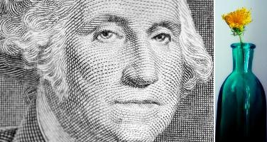 Dollar bill/flower/bottle