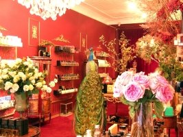 Aedes de Venustas, store interior