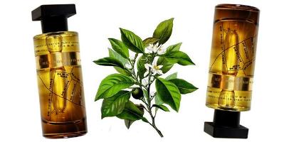 Ineke Field Notes from Paris perfume