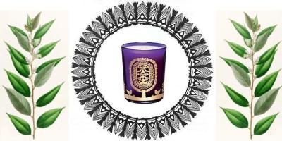 Diptyque Benjoin Holiday Candle