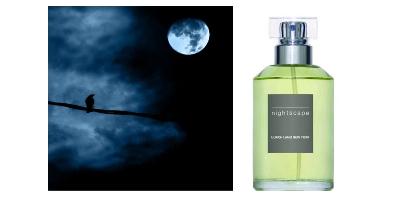 Ulrich Lang Nightscape