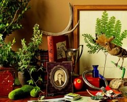 Atelier Cologne Trefle Pur still life