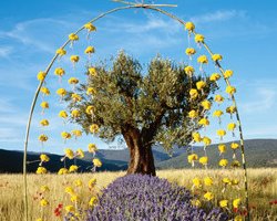 L'Occitane in Provence