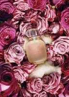 Les Parfums de Rosine Une Folie