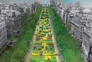 Intl Biodiversity Day in Paris