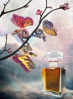 Roxana Illuminated Perfume Gracing the Dawn