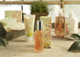 Thymes Agave Nectar fragrance