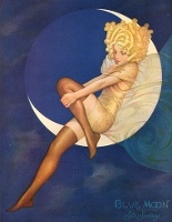 Blue Moon silk stockings