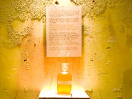 Gorilla Perfumes Smell of Freedom