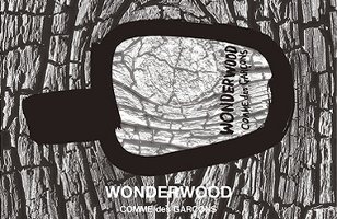 Comme des Garçons Wonderwood fragrance advert