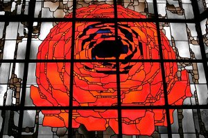stained glass window, rose