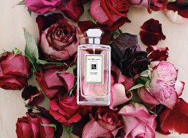 Jo Malone Red Rose perfume