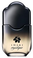 Avon Imari Mystique