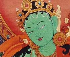 Ava Luxe Green Tara fragrance 