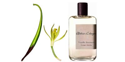 Atelier Cologne Vanille Insensee plus vanilla bean