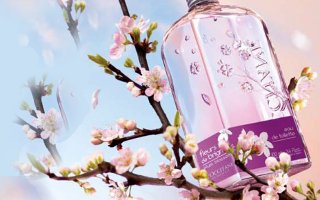 L'Occitane Plum Blossom