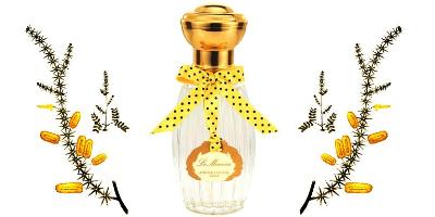 Annick Goutal Le Mimosa