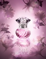 Jill Stuart Night Jewel Summer Bloom perfume
