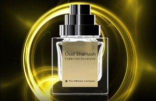 The Different Company Oud Shamash