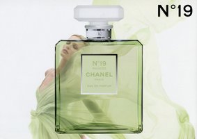 Chanel No. 19 Poudré