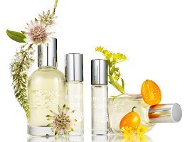 MCMC Fragrances Love & Phoenix